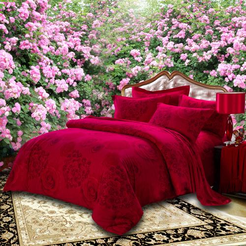 ����鿴��